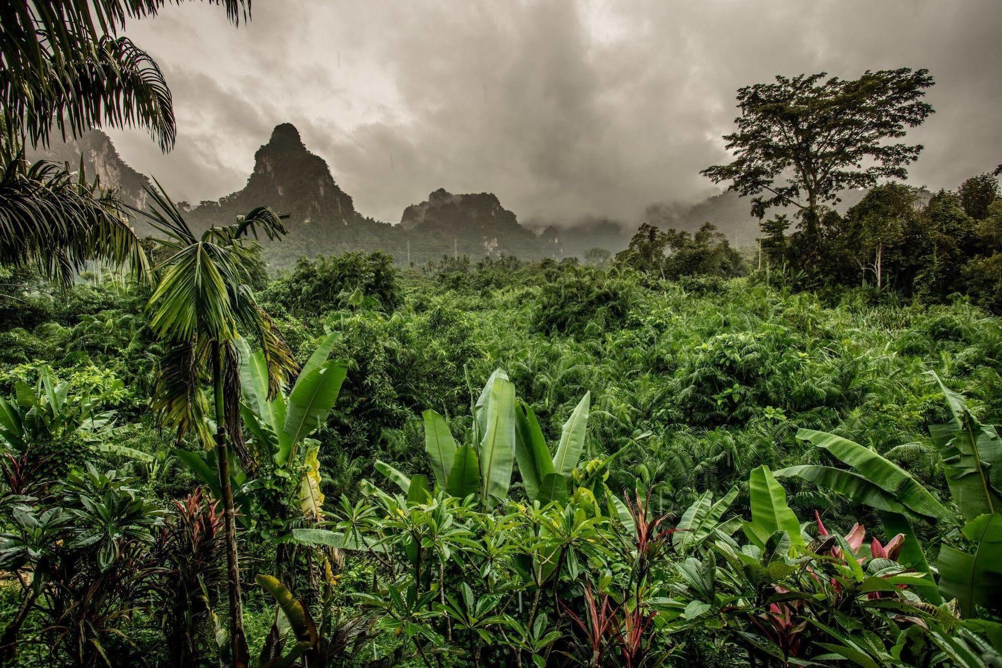 Anurak Community Lodge - Sha Plus Khao Sok National Park Zewnętrze zdjęcie
